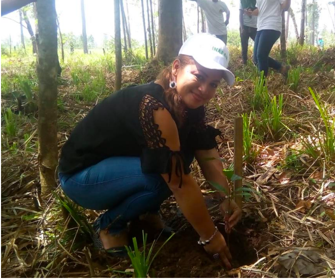 reforesta1